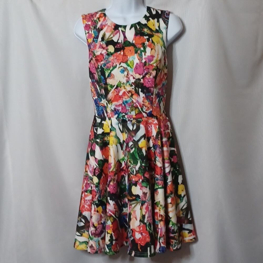 Bebe Women's Floral Sleeveless Round Neck Fit and Flare Dress. Size SP